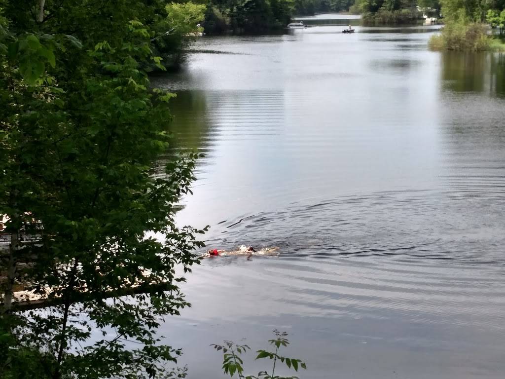 Thirsty Bear Pub | restaurant | W10968 County Rd J, Deerbrook, WI 54424, USA | 7156236414 OR +1 715-623-6414