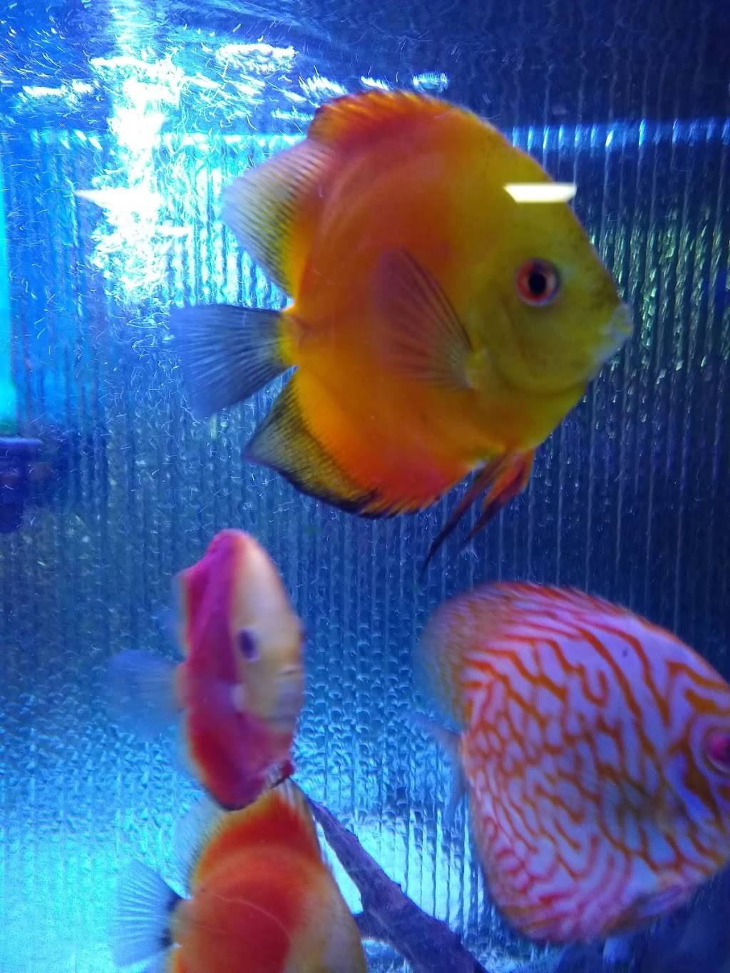 No. 1 Chinese Restaurant | meal delivery | 26 Queen City Ave, Manchester, NH 03103, USA | 6032327552 OR +1 603-232-7552