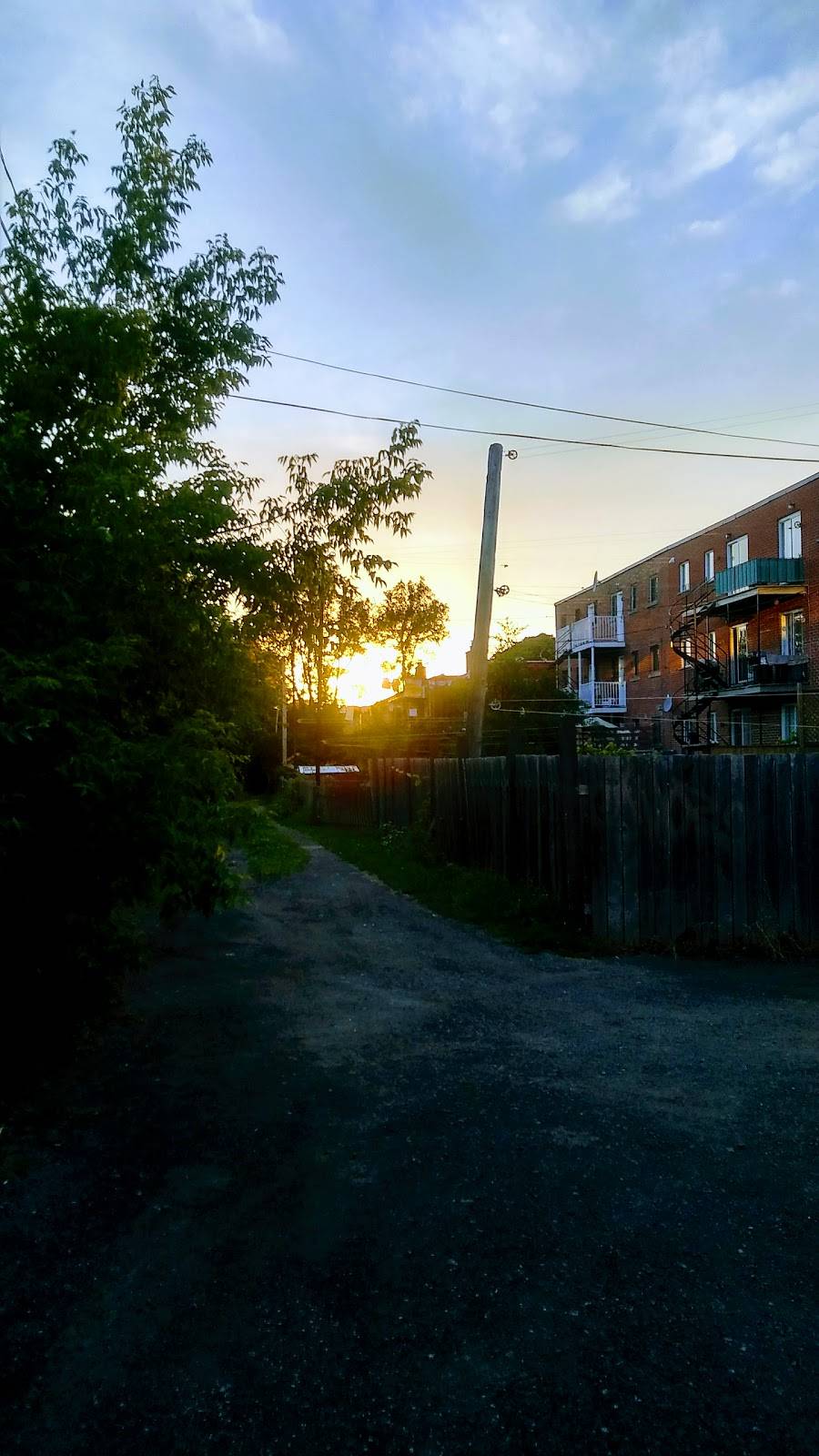 Brasserie Cannebière 1986 Inc | restaurant | 4975 Rue Beaubien E, Montréal, QC H1T 1V3, Canada | 5147293442 OR +1 514-729-3442