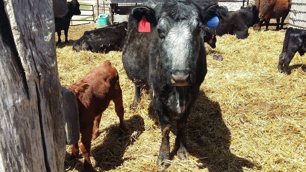 Mellems Fish House | restaurant | 1885 Allison Park Dr, Richland Center, WI 53581, USA | 6086476557 OR +1 608-647-6557