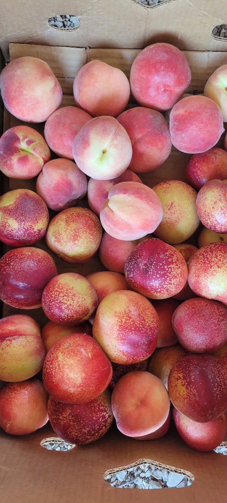 La Grange Fruit Stand | restaurant | 29606 Yosemite Blvd, La Grange, CA 95329, USA | 2099309201 OR +1 209-930-9201