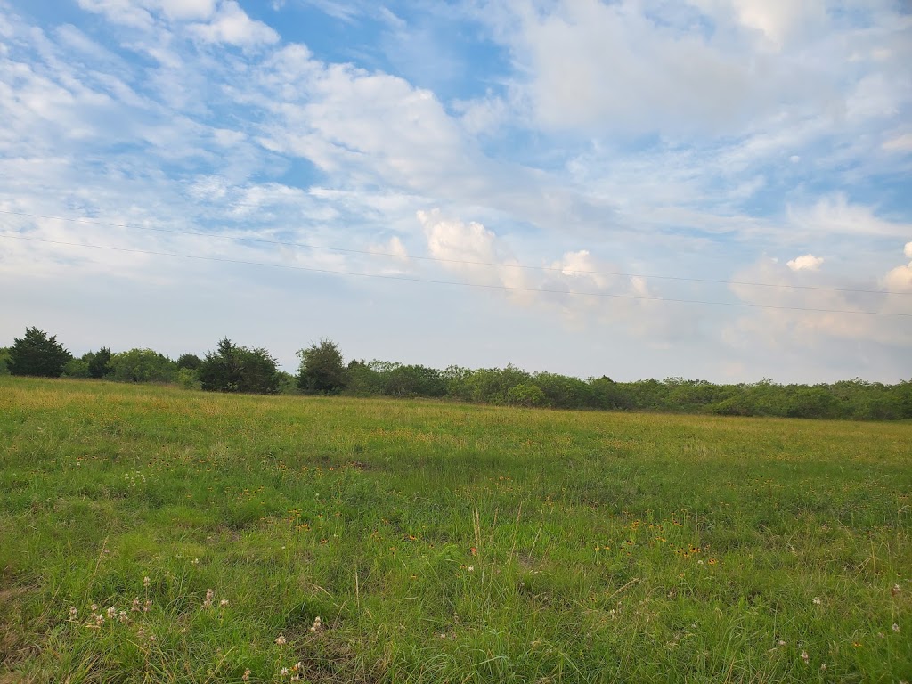 5R Bar&Grill | restaurant | 6623 TX-304, Rosanky, TX 78953, USA | 8305404409 OR +1 830-540-4409