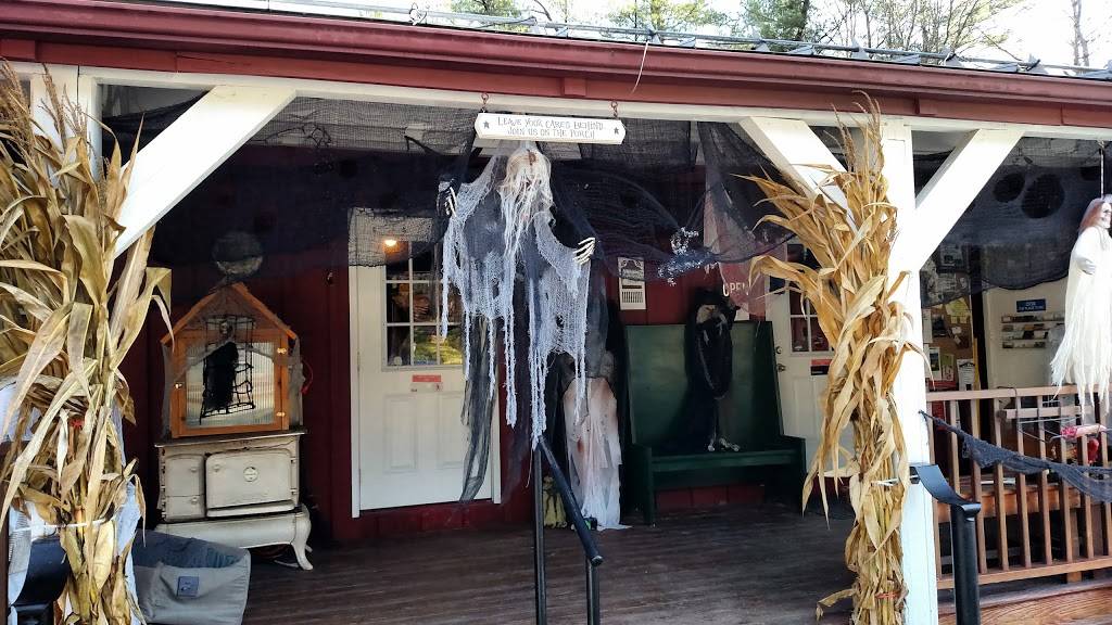 Farmington River Diner | restaurant | 119 S Main Rd, Otis, MA 01253, USA | 4132696874 OR +1 413-269-6874