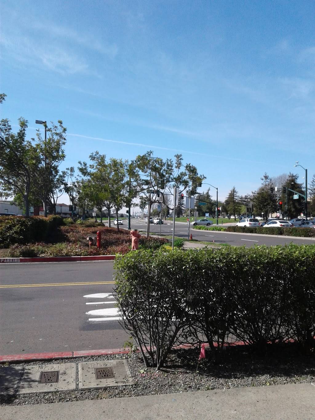 Starbucks | cafe | 720 Atlantic Ave, Alameda, CA 94501, USA | 5103371580 OR +1 510-337-1580