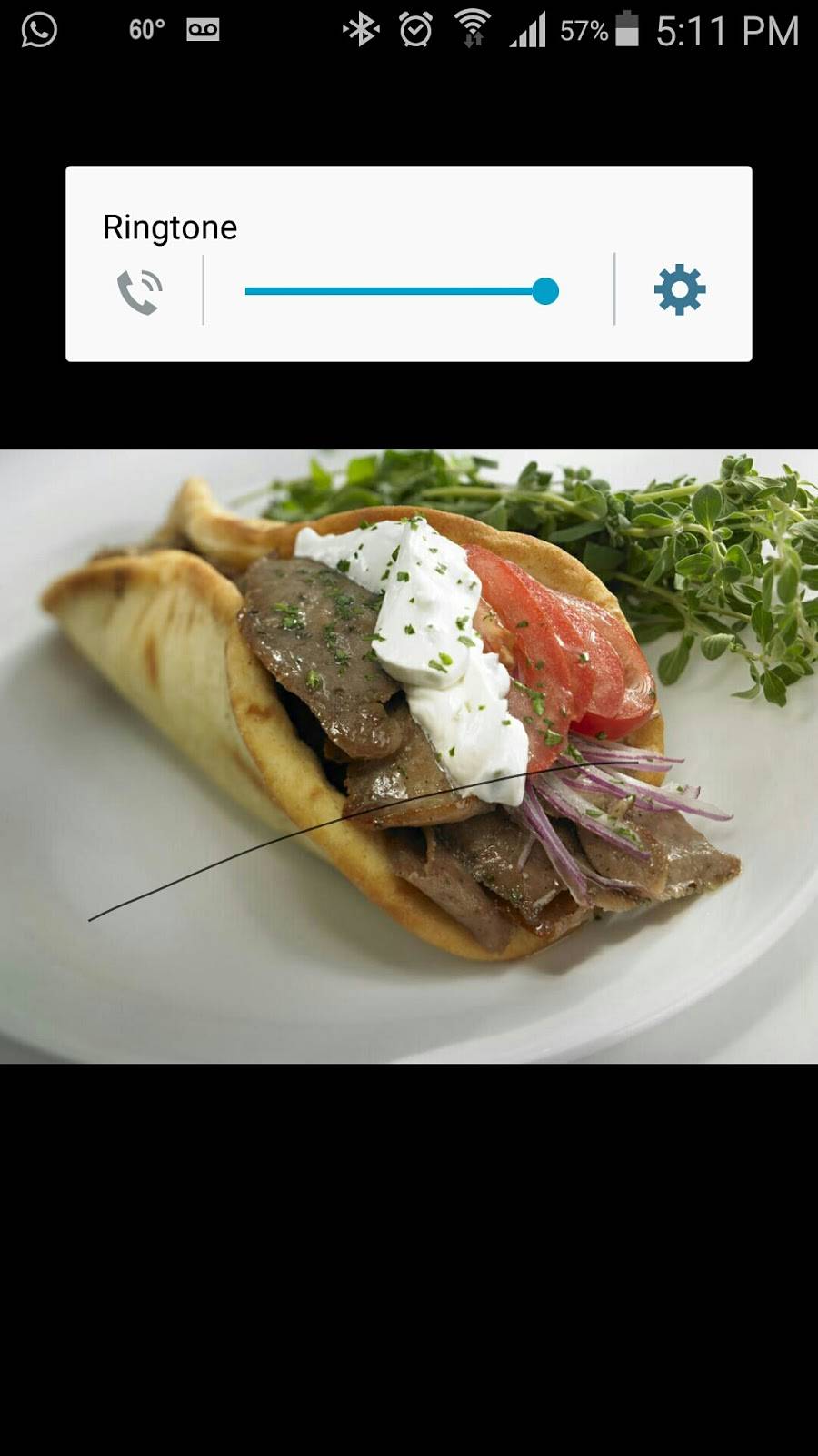 chicago fish and chicken gyro | restaurant | 9942 E Washington St, Indianapolis, IN 46229, USA | 3177449311 OR +1 317-744-9311