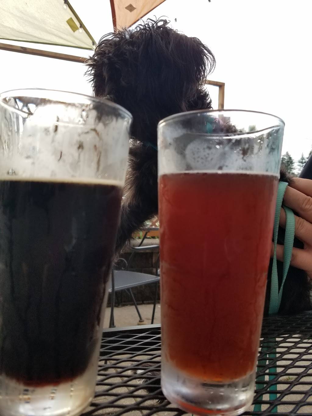 Rivertowne Pour House | restaurant | 312 Center Rd, Monroeville, PA 15146, USA | 4123728199 OR +1 412-372-8199