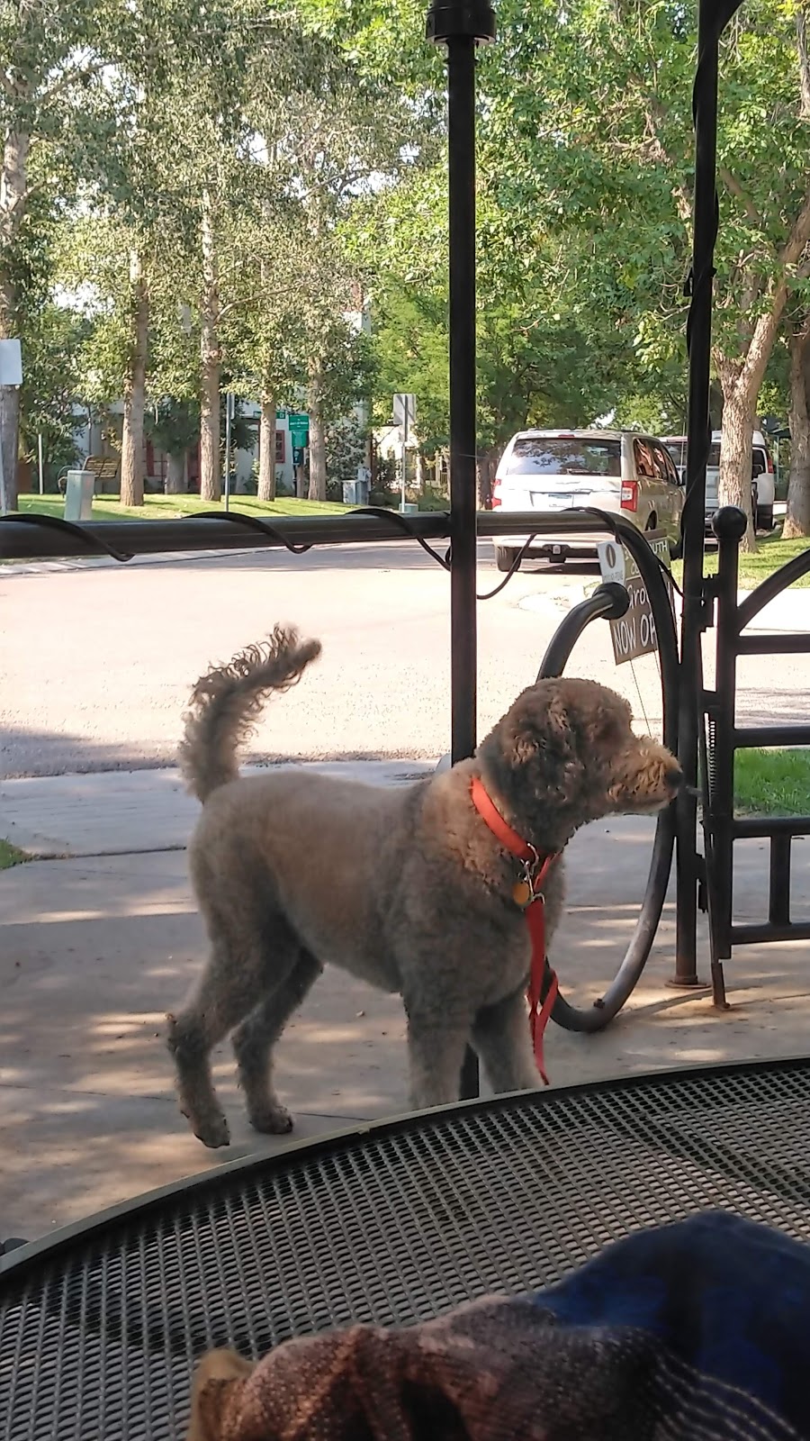 Sugar Pine Specialty Grocery + Restaurant | restaurant | 1920 S Coffman St, Longmont, CO 80504, USA | 3038273763 OR +1 303-827-3763