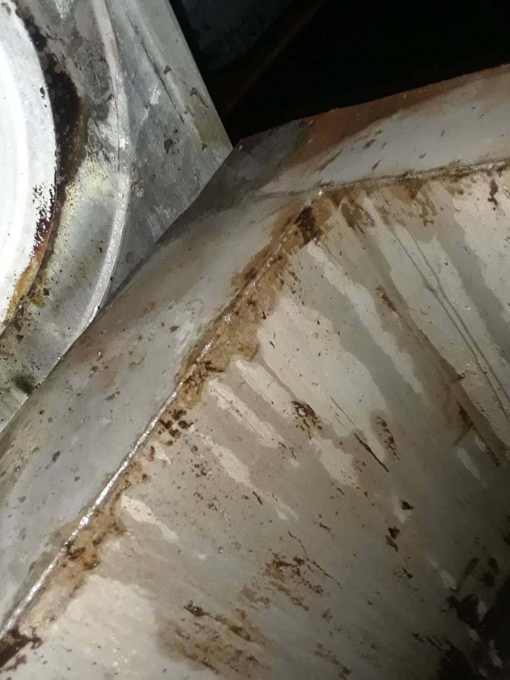 Clever Clean Restaurant Service | restaurant | 13540 Forrer St, Detroit, MI 48227, USA | 3138544177 OR +1 313-854-4177