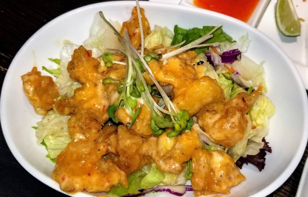 Hunan Fusion | restaurant | 2405 S 132nd St, Omaha, NE 68144, USA | 4023345382 OR +1 402-334-5382