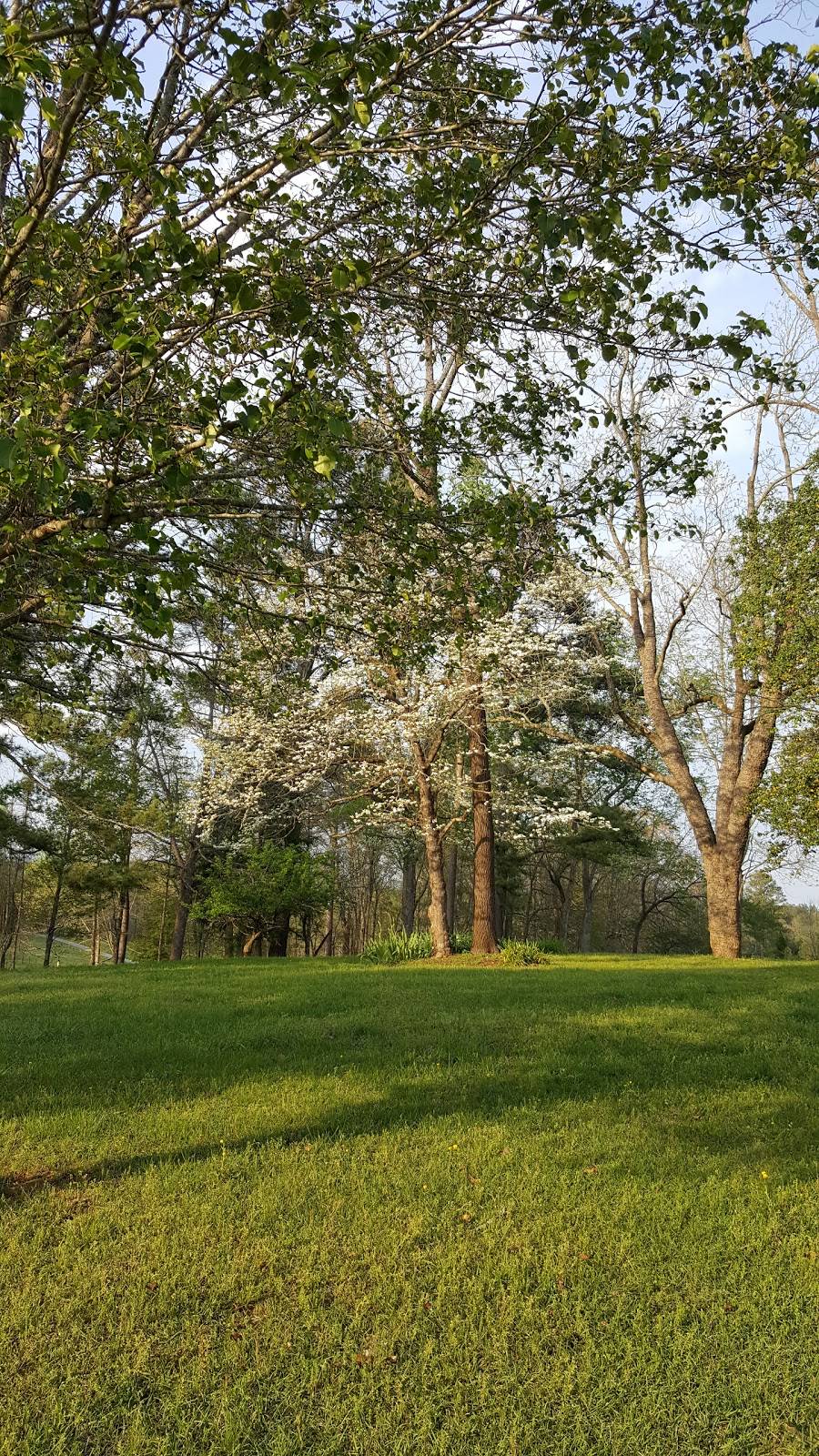 Village Inn | restaurant | 107 S Catherine St, Pickens, SC 29671, USA | 8648789170 OR +1 864-878-9170