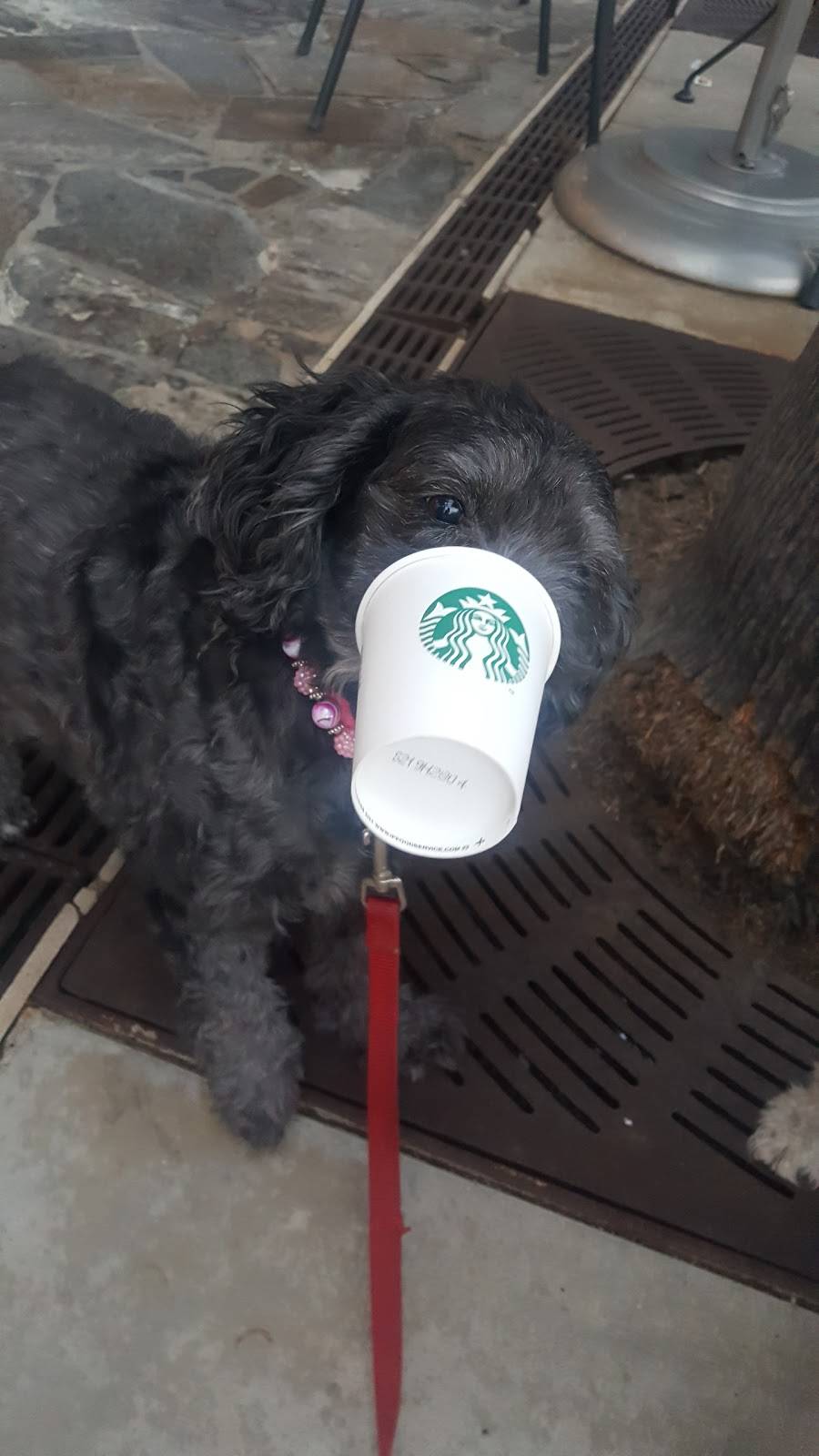 Starbucks | cafe | 27890 Clinton Keith Rd STE A, Murrieta, CA 92562, USA | 9513016056 OR +1 951-301-6056