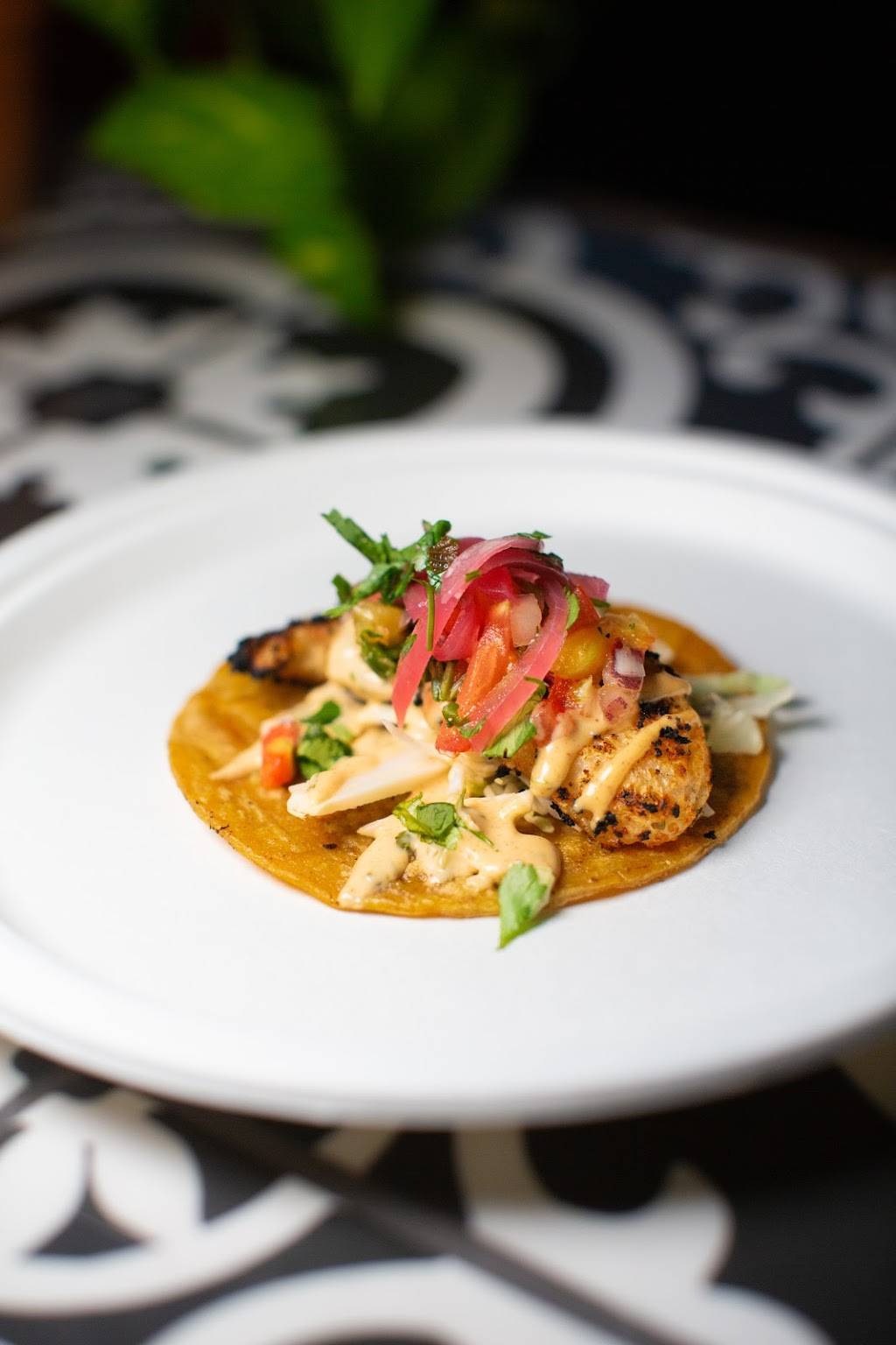 Little Vice | restaurant | 3317 E 7th St, Long Beach, CA 90804, USA | 5623437157 OR +1 562-343-7157