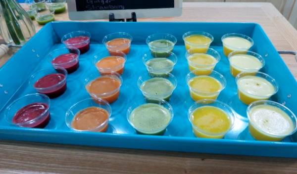 RWE Healthy Living | restaurant | 137 E Bridge St, Plainwell, MI 49080, USA | 2692716006 OR +1 269-271-6006