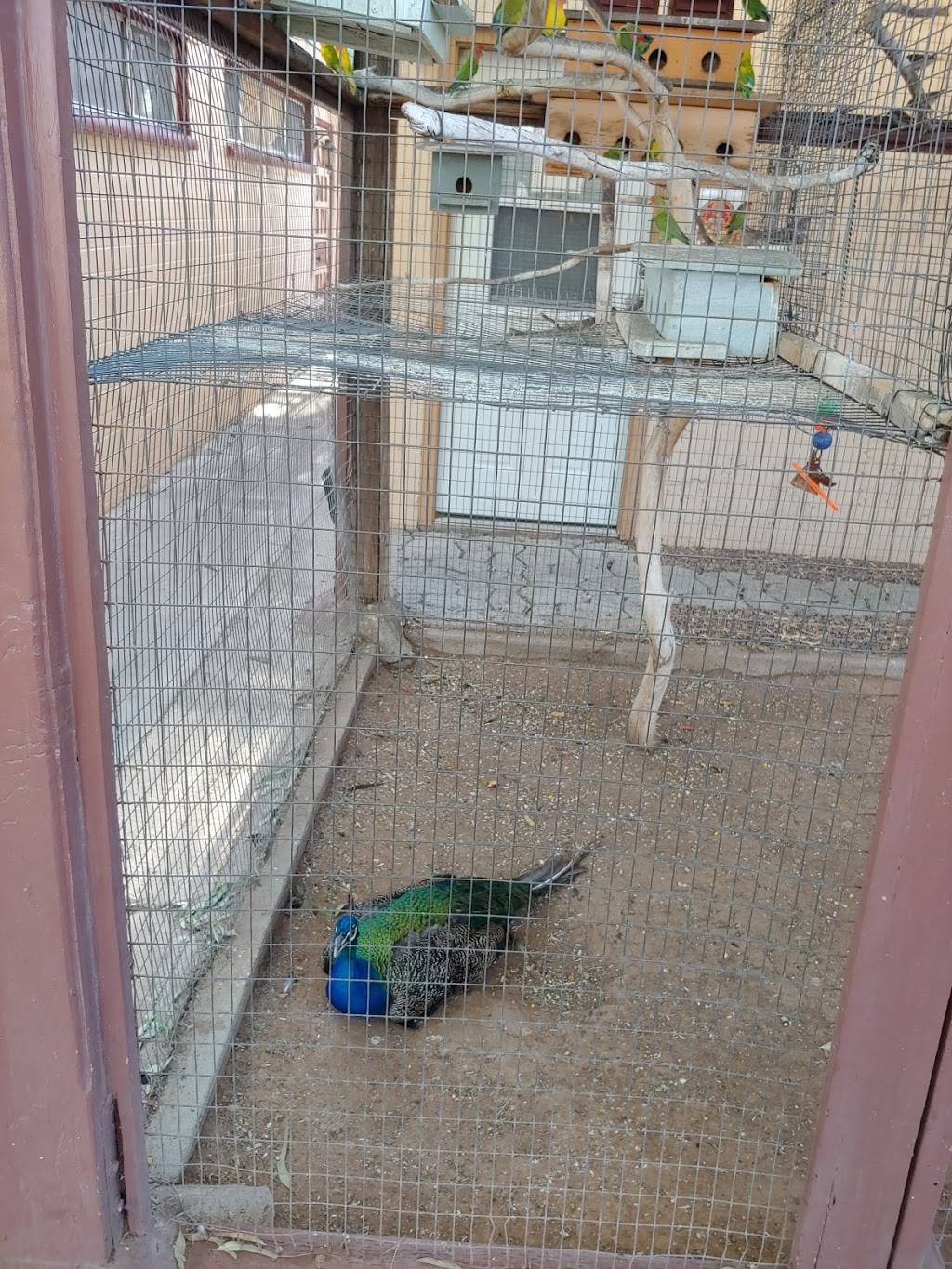 Govindas Natural Foods Buffet | restaurant | 711 E Blacklidge Dr, Tucson, AZ 85719, USA | 5207920630 OR +1 520-792-0630