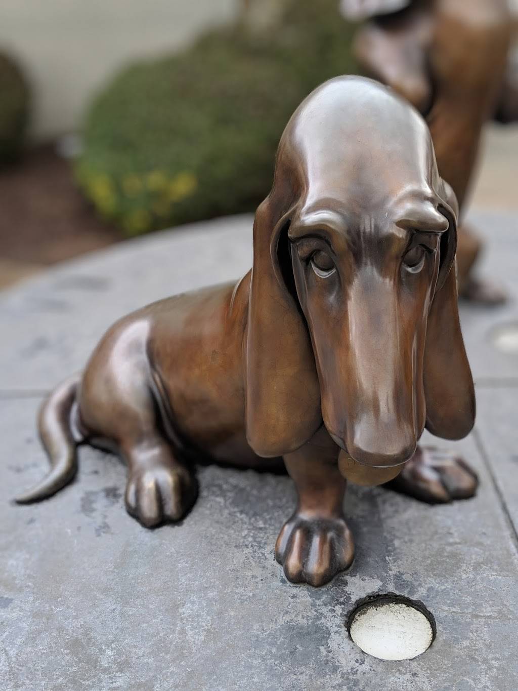 Jamba Woodinville | restaurant | 13804 NE 175th St, Woodinville, WA 98072, USA | 4255318001 OR +1 425-531-8001