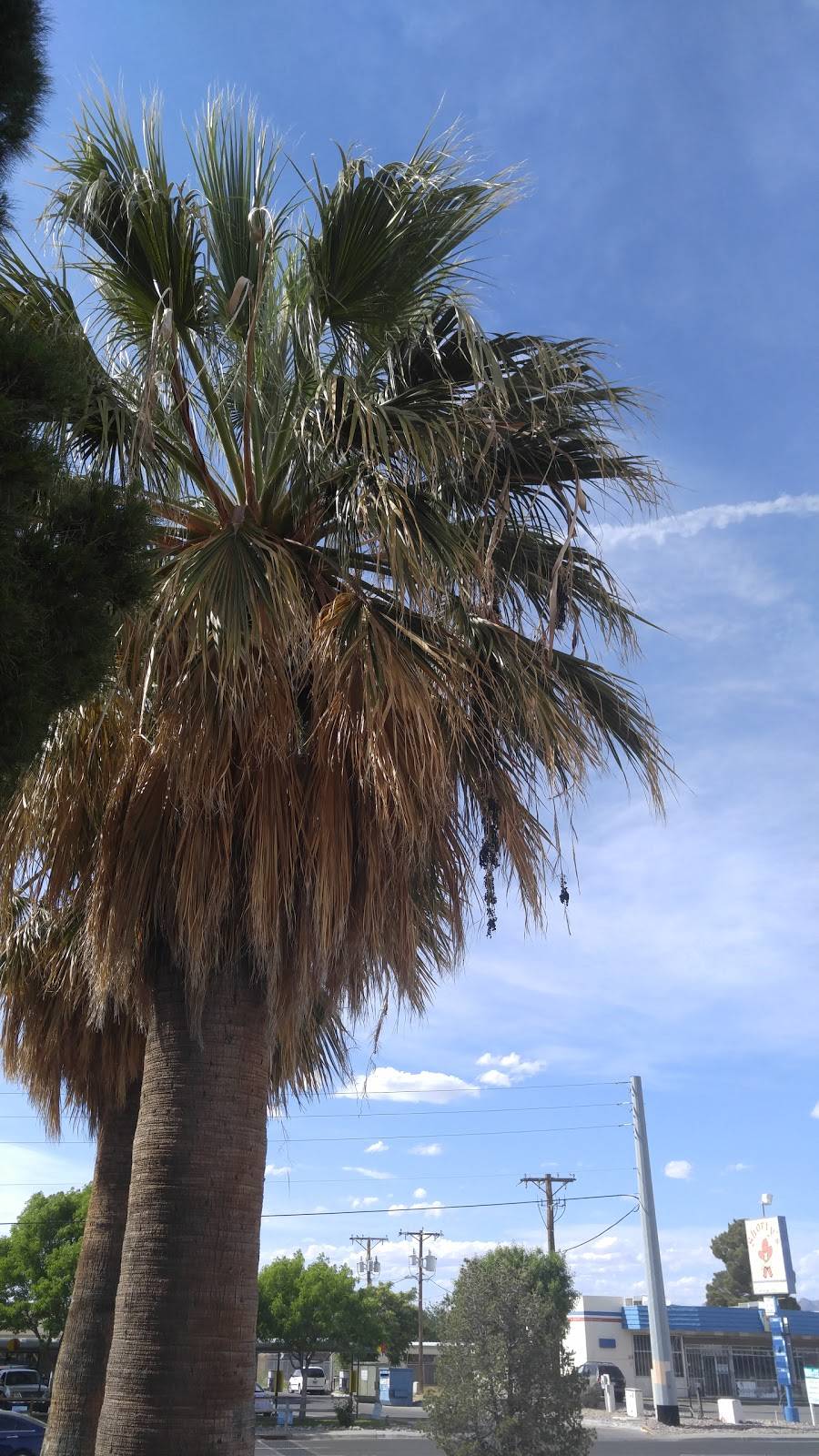 Burger Time | restaurant | 1190 N Solano Dr, Las Cruces, NM 88001, USA | 5755234191 OR +1 575-523-4191