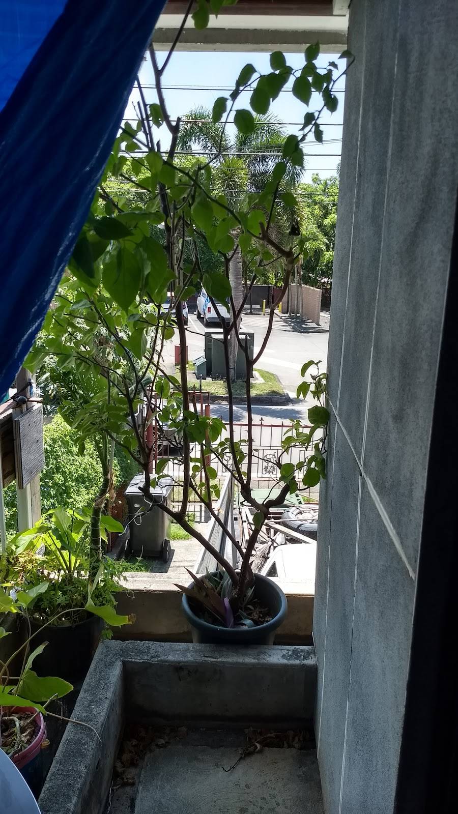 Jack in the Box | restaurant | 2317 N School St, Honolulu, HI 96819, USA | 8088417211 OR +1 808-841-7211