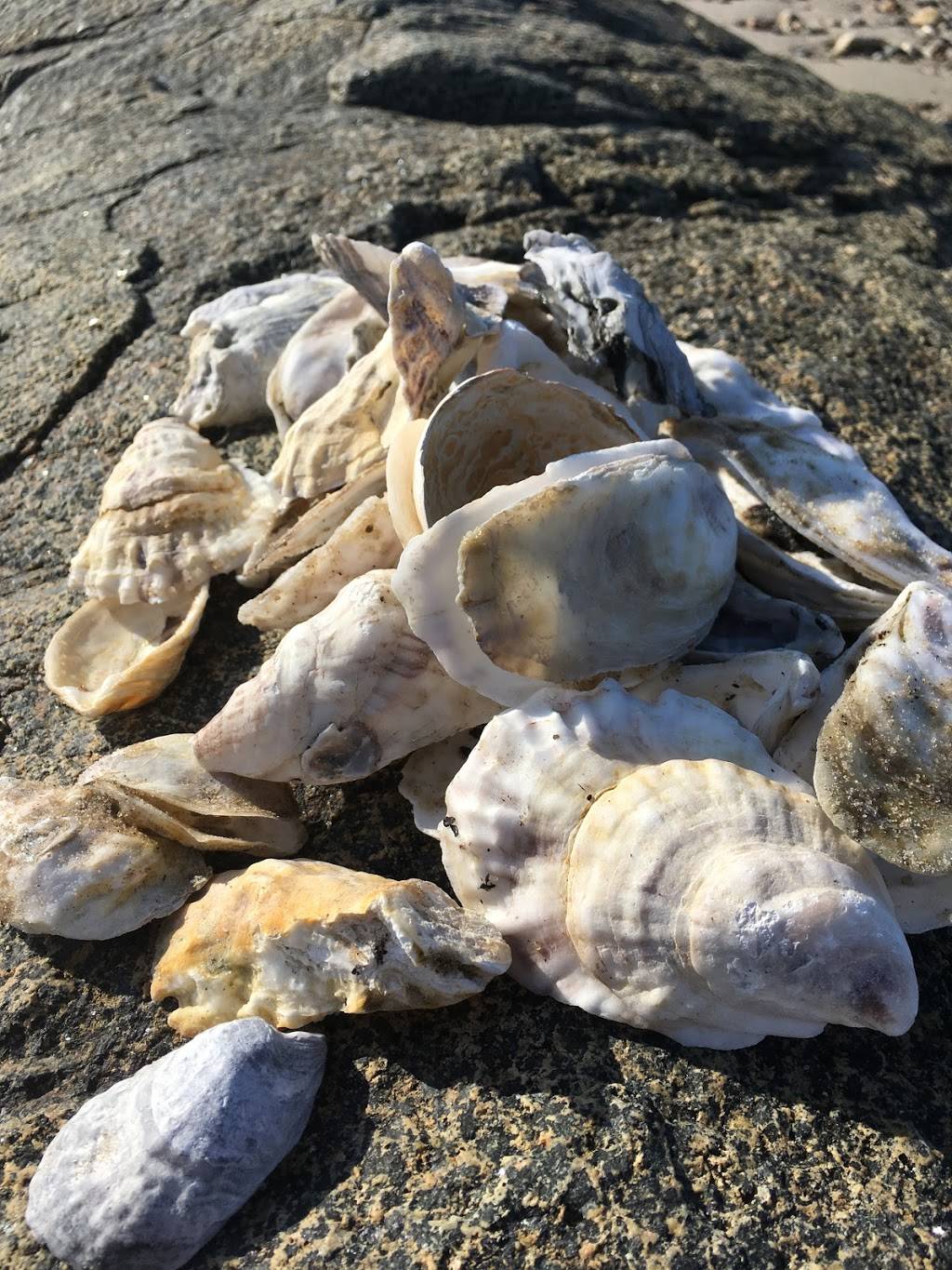 Spinnaker Restaurant | restaurant | 2019 Main St #1821, Brewster, MA 02631, USA | 5088967644 OR +1 508-896-7644