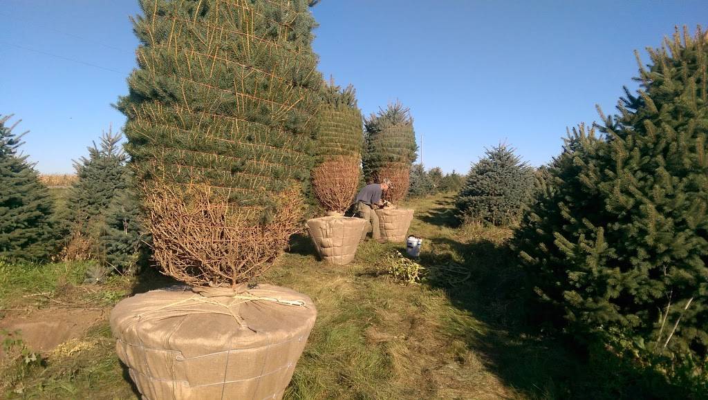 Nesbitts Nursery & Orchard | restaurant | N4380 WI-35, Prescott, WI 54021, USA | 7157922676 OR +1 715-792-2676