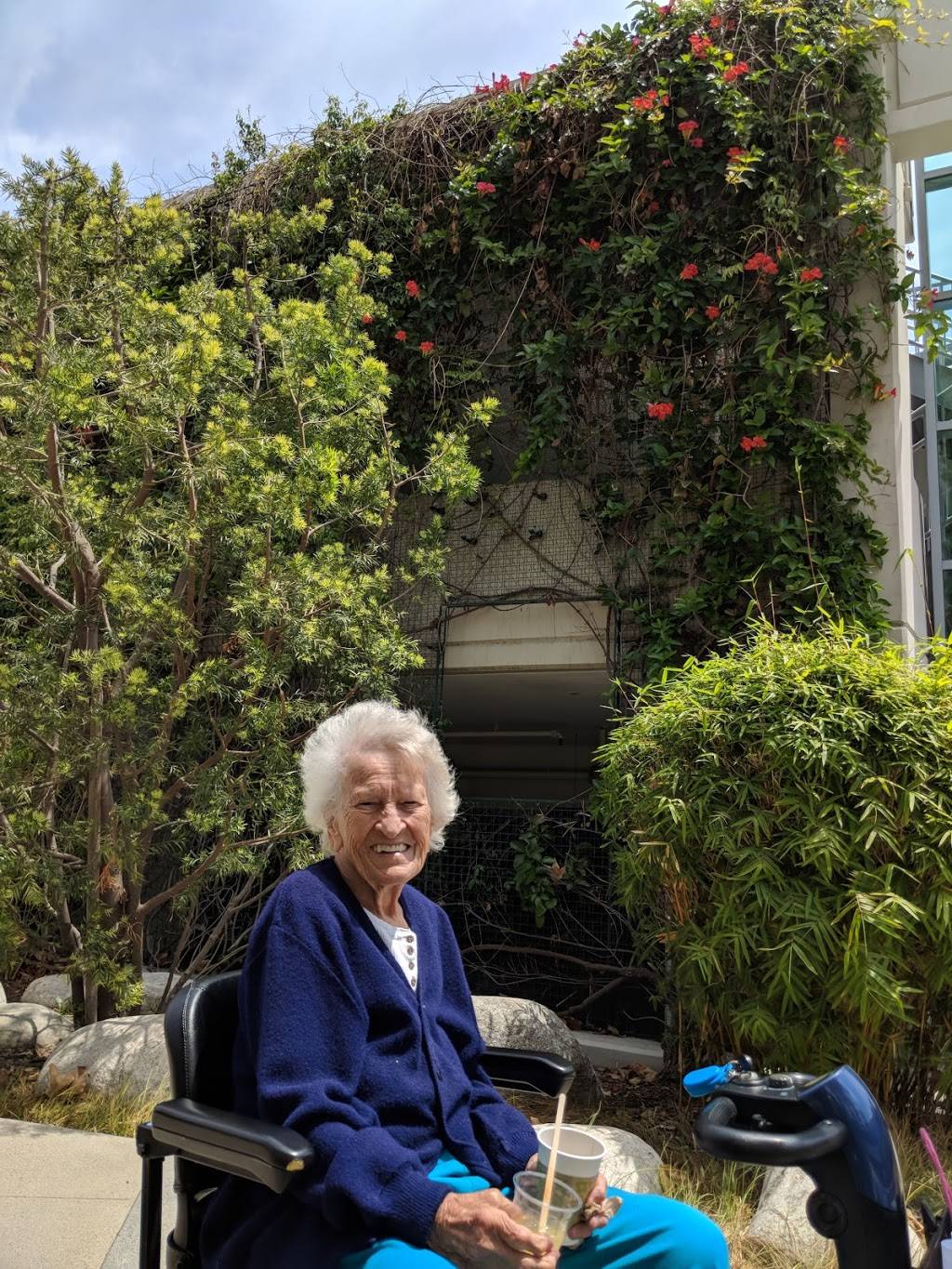 Cafe 538 Tin | cafe | 538 Superior Ave, Newport Beach, CA 92663, USA | 9496452233 OR +1 949-645-2233