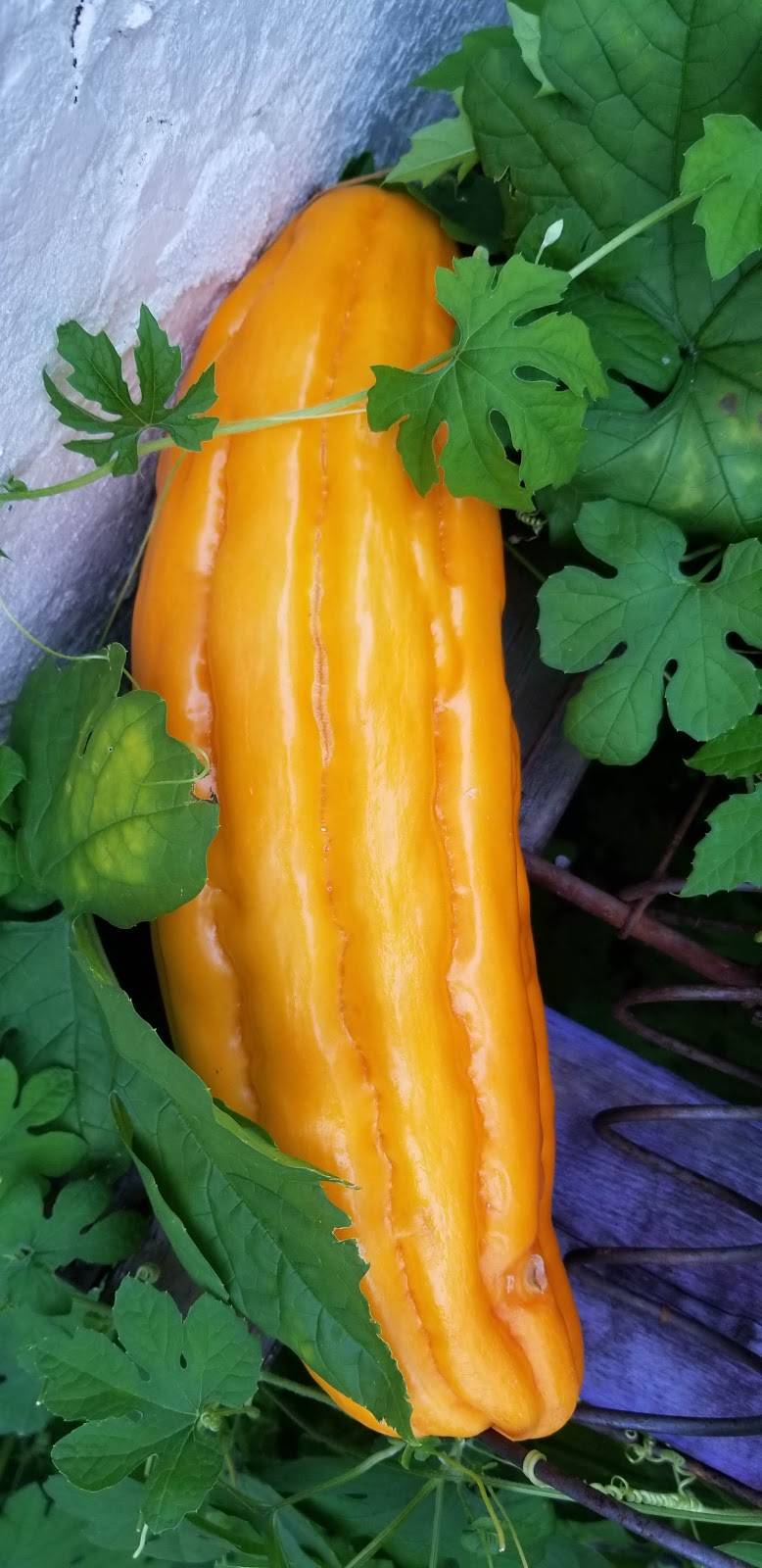 Salt & Pepper Deli III | restaurant | 1102 S 47th St, Philadelphia, PA 19143, USA | 2157274210 OR +1 215-727-4210