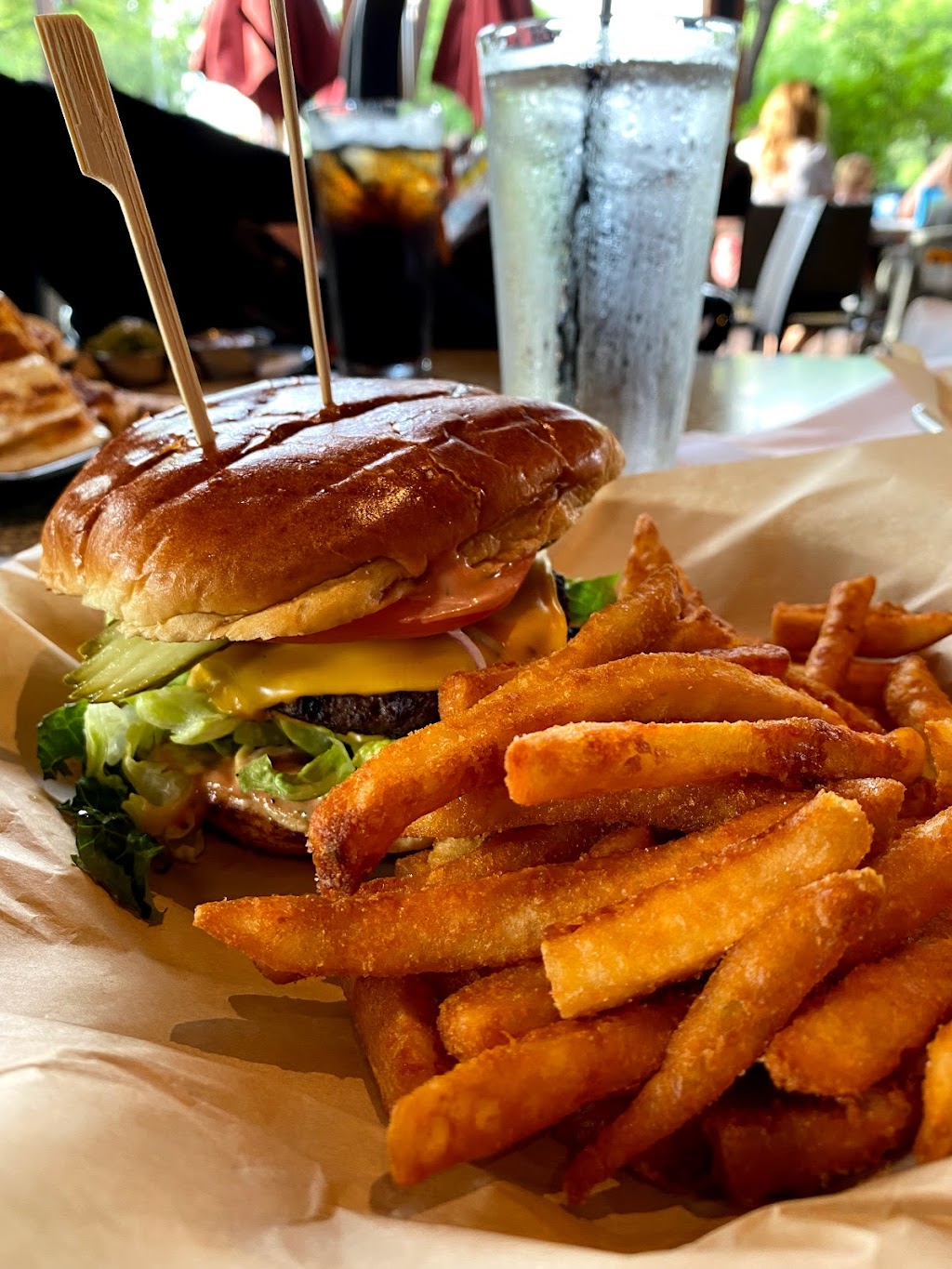 Lazy Dog Restaurant & Bar | restaurant | 5100 Belt Line Rd, Addison, TX 75254, USA | 4697541300 OR +1 469-754-1300