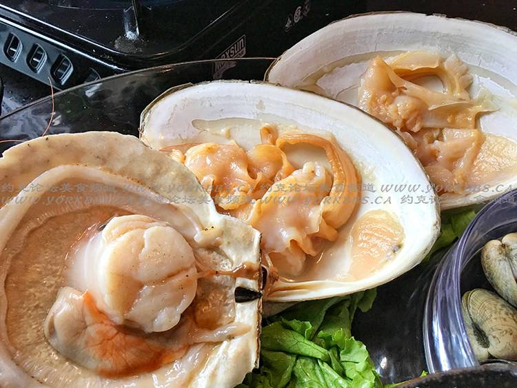 Champions Seafood Grill & Bar | restaurant | 8333 Kennedy Rd Unit 1071, Unionville, ON L3R 1J5, Canada | 9056048065 OR +1 905-604-8065