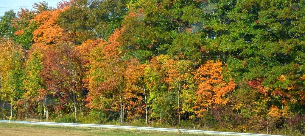 Whaling City Golf Course | restaurant | 581 Hathaway Rd, New Bedford, MA 02740, USA | 5089969393 OR +1 508-996-9393