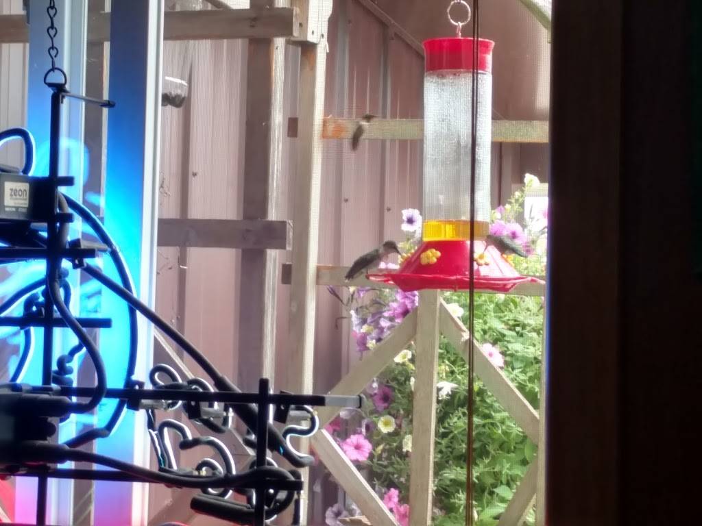 Bevs Saddle Mound Tap | restaurant | N8376 Pray Rd, Pittsville, WI 54466, USA | 7158847355 OR +1 715-884-7355