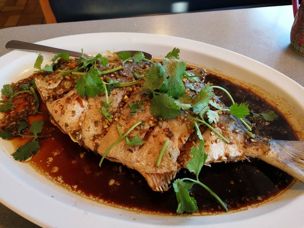 滋味馆 | restaurant | 8797 S Gessner Rd, Houston, TX 77074, USA | 7137796848 OR +1 713-779-6848