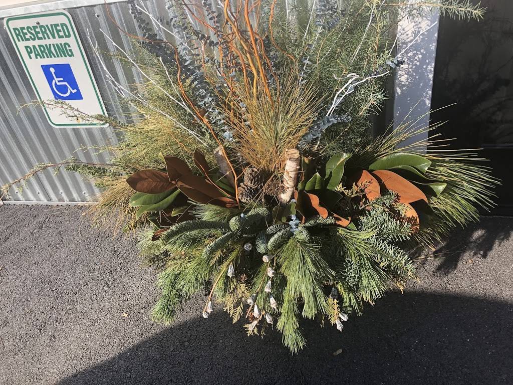 two birds cafe | restaurant | 653 Downingtown Pike, West Chester, PA 19380, USA | 6102226200 OR +1 610-222-6200