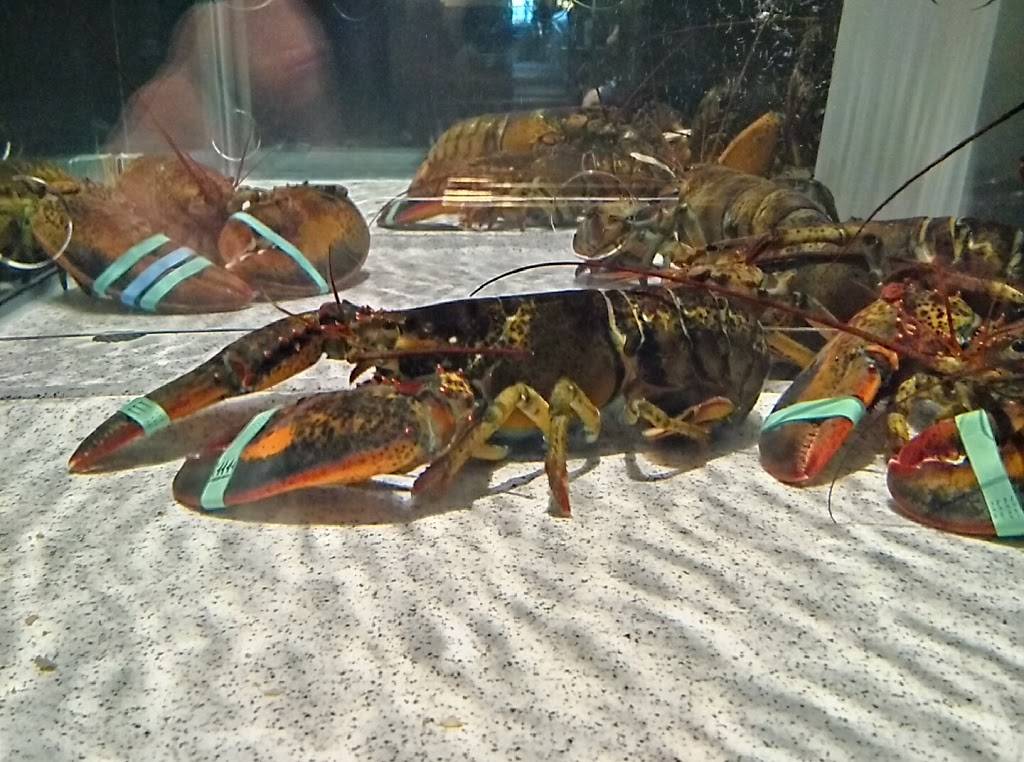 Red Lobster | restaurant | 4625 N Sterling Ave, Peoria, IL 61615, USA | 3096867716 OR +1 309-686-7716