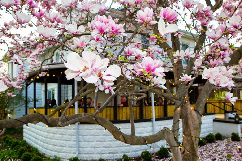 The Combine | restaurant | 352 Norfolk St S, Simcoe, ON N3Y 2W9, Canada | 2264403369 OR +1 226-440-3369