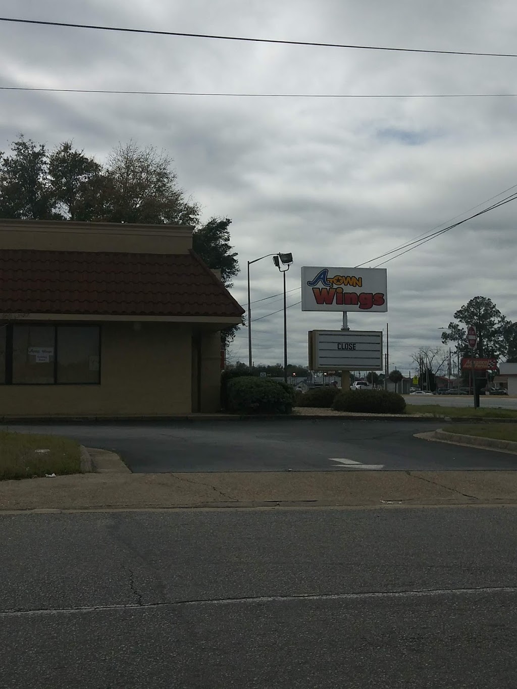 A-Town Wings | restaurant | 2006 E Oglethorpe Blvd, Albany, GA 31705, USA | 2295895191 OR +1 229-589-5191