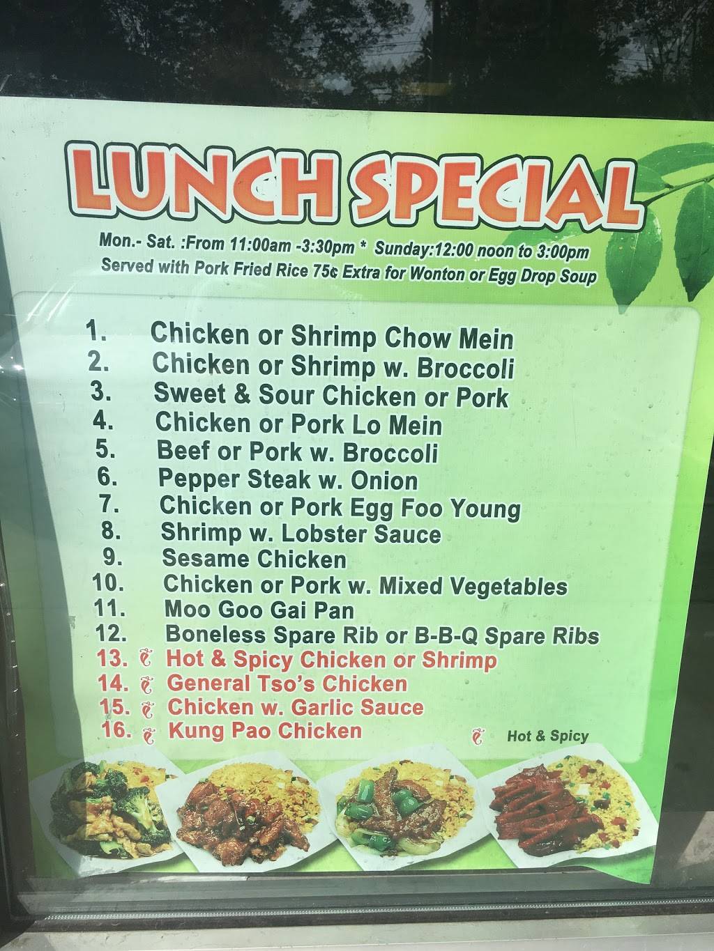 Lins Family Chinese Restaurant | restaurant | 368 New Hempstead Rd, New City, NY 10956, USA | 8457080065 OR +1 845-708-0065