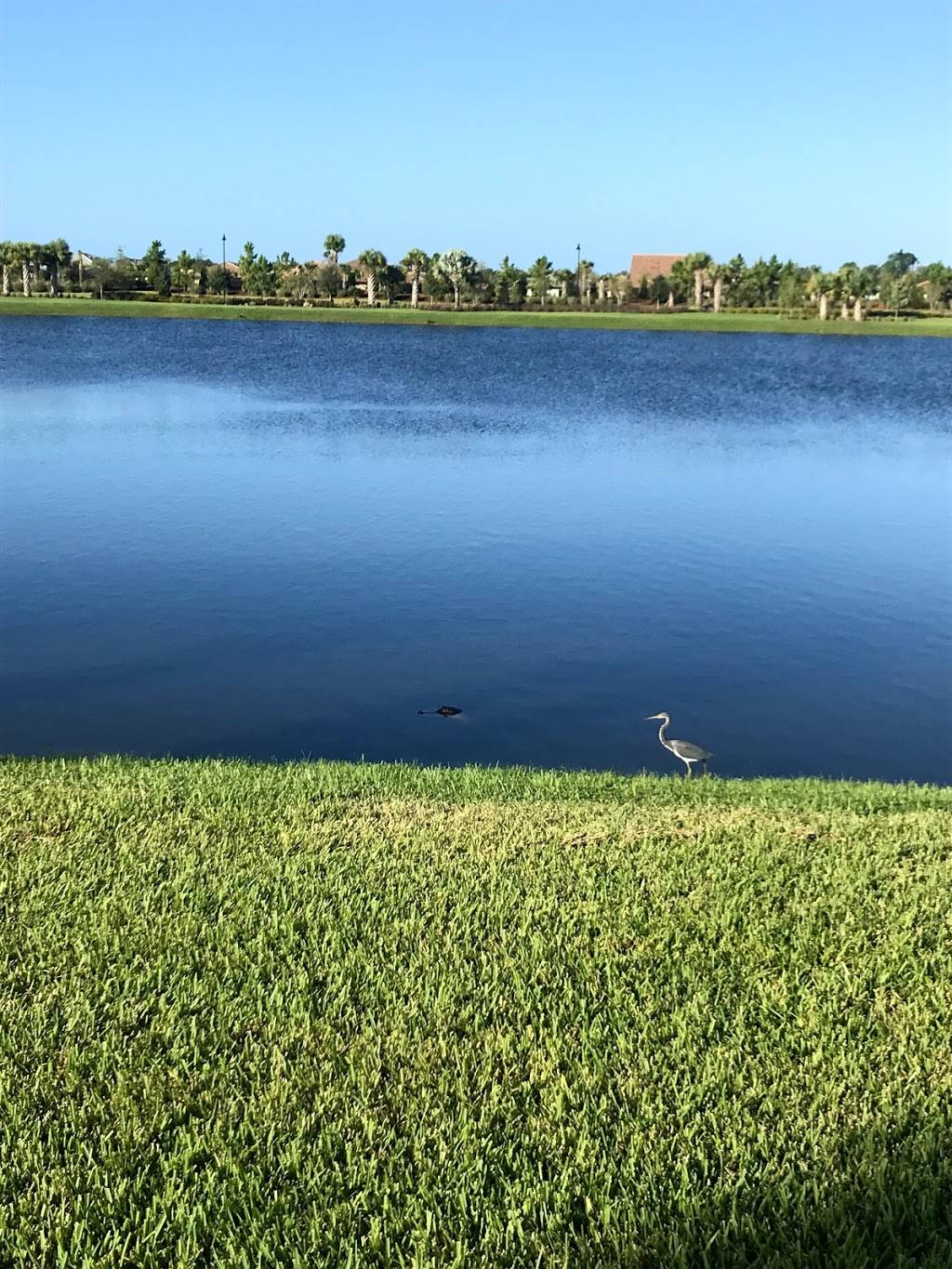 Del Webb Lakewood Ranch Lake House | restaurant | 6915 Del Webb Blvd, Bradenton, FL 34202, USA | 9417390393 OR +1 941-739-0393