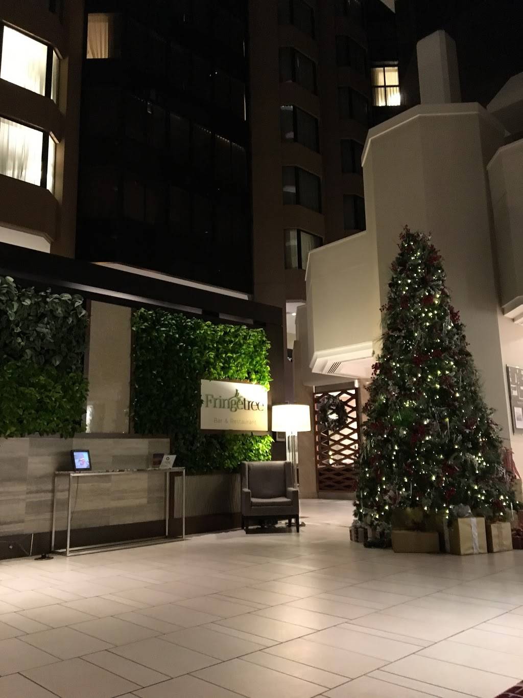 The Westin Washington, D.C. City Center Fringetree Restaurant | restaurant | 1400 M St NW, Washington, DC 20005, USA | 2024291700 OR +1 202-429-1700