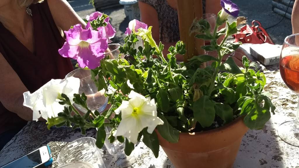 Anderson Vineyard & Winery | restaurant | 430 East U.S. Highway 6, Valparaiso, IN 46383, USA | 2194644936 OR +1 219-464-4936