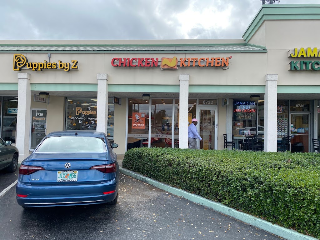 Chicken Kitchen | restaurant | 8732 Sunset Dr, Miami, FL 33173, USA | 3053815044 OR +1 305-381-5044