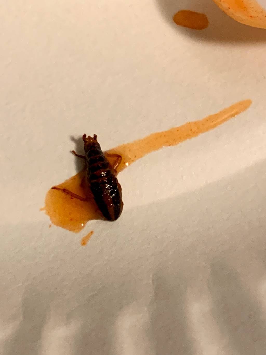 Stufys Restaurants | restaurant | 1311 Juan Tabo Blvd NE, Albuquerque, NM 87112, USA | 5052991860 OR +1 505-299-1860