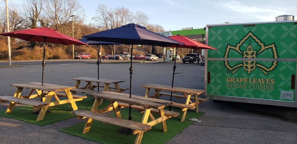 Grape leaves (syrian cuisine) | restaurant | 18 E Thompson Ln, Nashville, TN 37211, USA | 9313844082 OR +1 931-384-4082