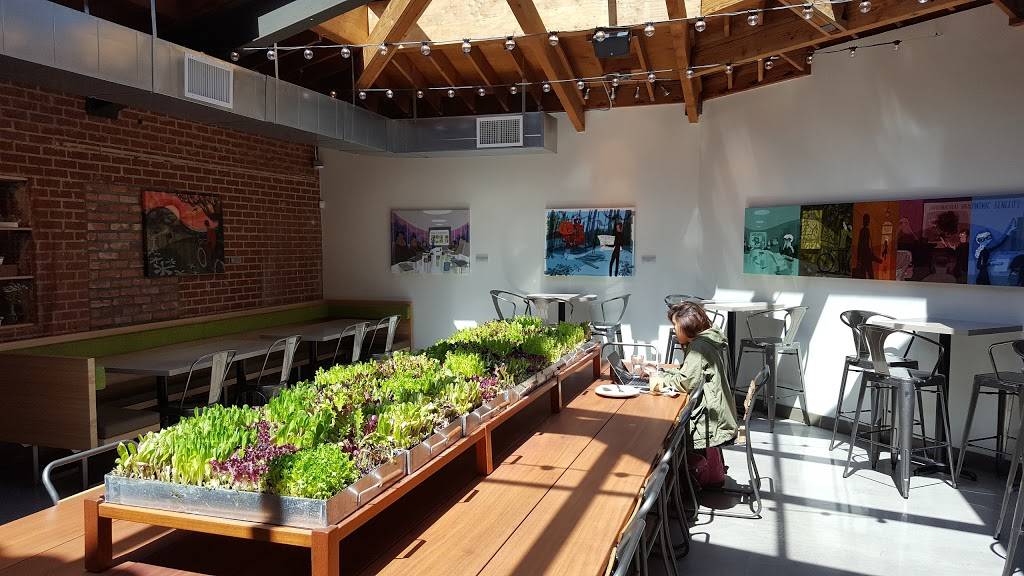 Tender Greens - PATIO DINING AVAILABLE | restaurant | 1109 Glendon Ave, Los Angeles, CA 90024, USA | 2133355359 OR +1 213-335-5359