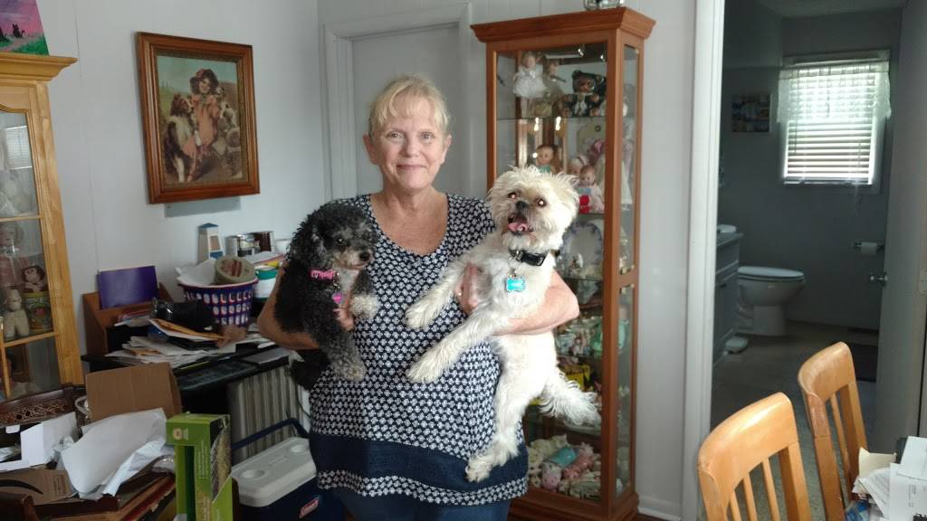 Ronatos Parkview Pizza | restaurant | 300 W Main St, Mechanicsburg, OH 43044, USA | 9378342888 OR +1 937-834-2888