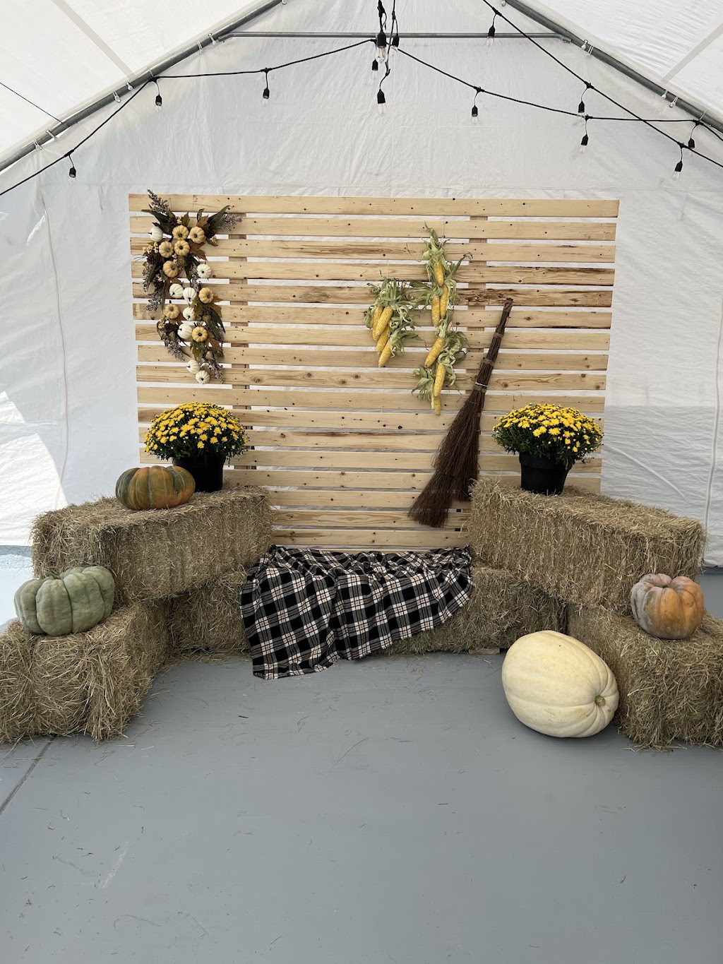 Mama Lidis Food Truck Pizza & Coffee | restaurant | 27890 Boerne Stage Rd, Boerne, TX 78006, USA | 8303885700 OR +1 830-388-5700