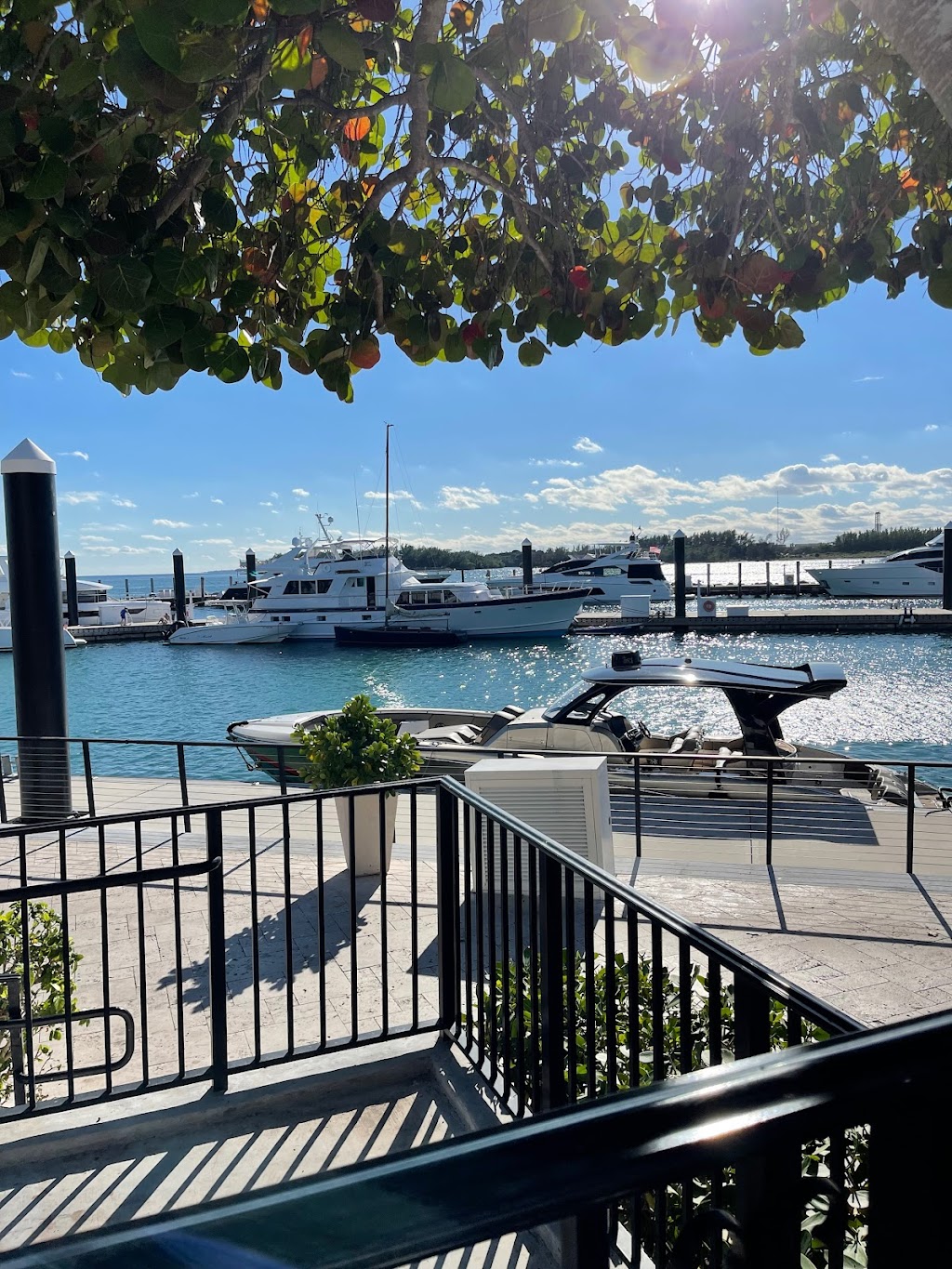 Fisher Island Club Mansion Restaurant | restaurant | 1 Fisher Island Dr, Miami Beach, FL 33109, USA | 3055356000 OR +1 305-535-6000