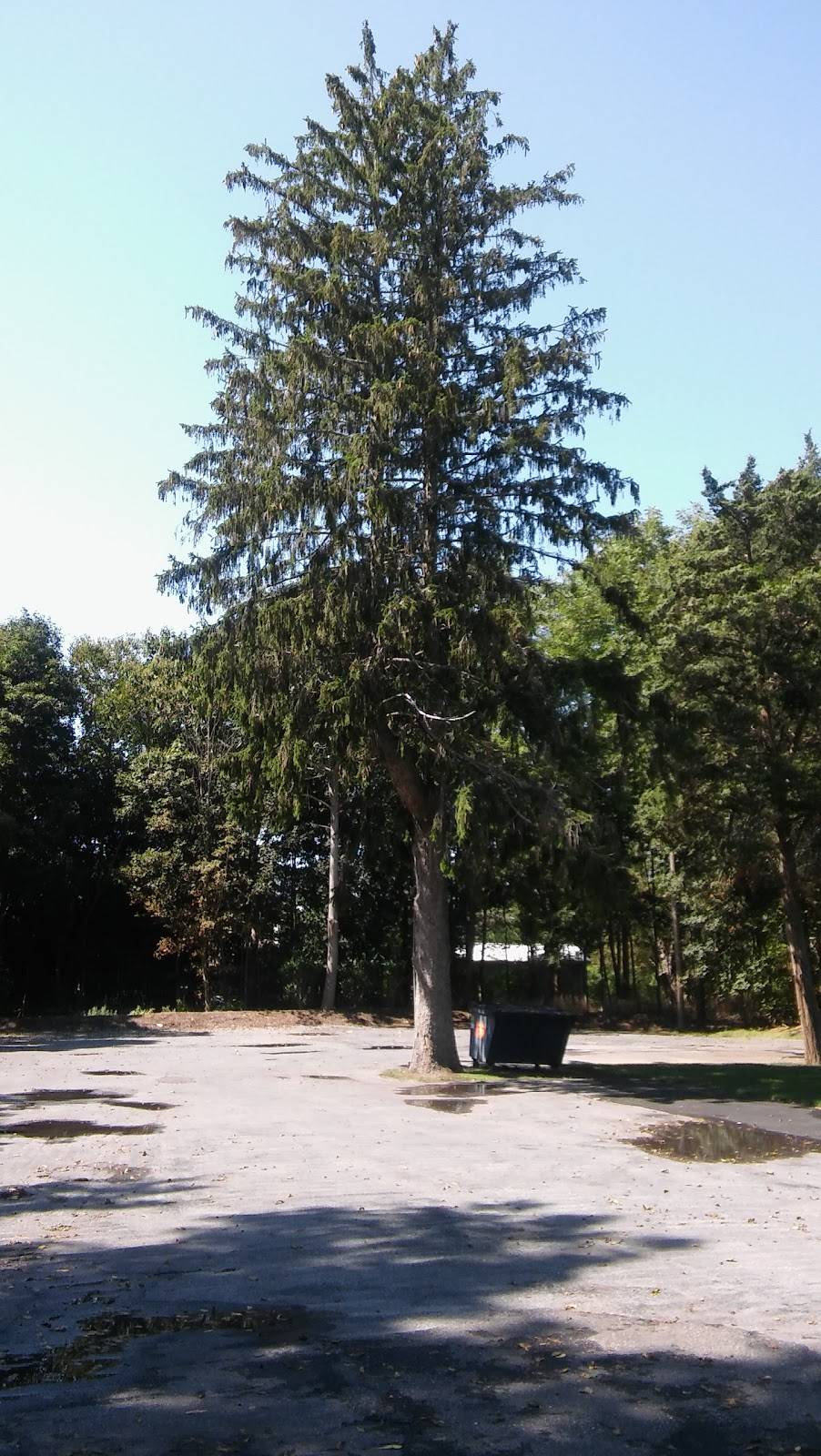 Sophies | restaurant | 730 Main Bayview Rd, Southold, NY 11971, USA | 6317655700 OR +1 631-765-5700