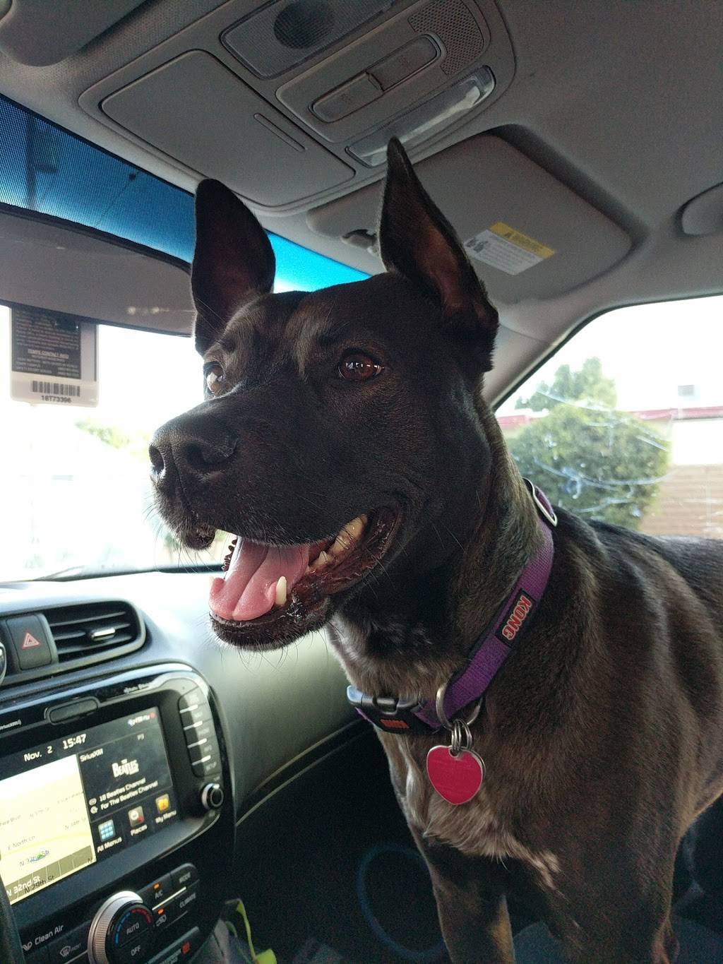 McDonalds | cafe | 10230 N 32nd St, Phoenix, AZ 85028, USA | 6024049785 OR +1 602-404-9785