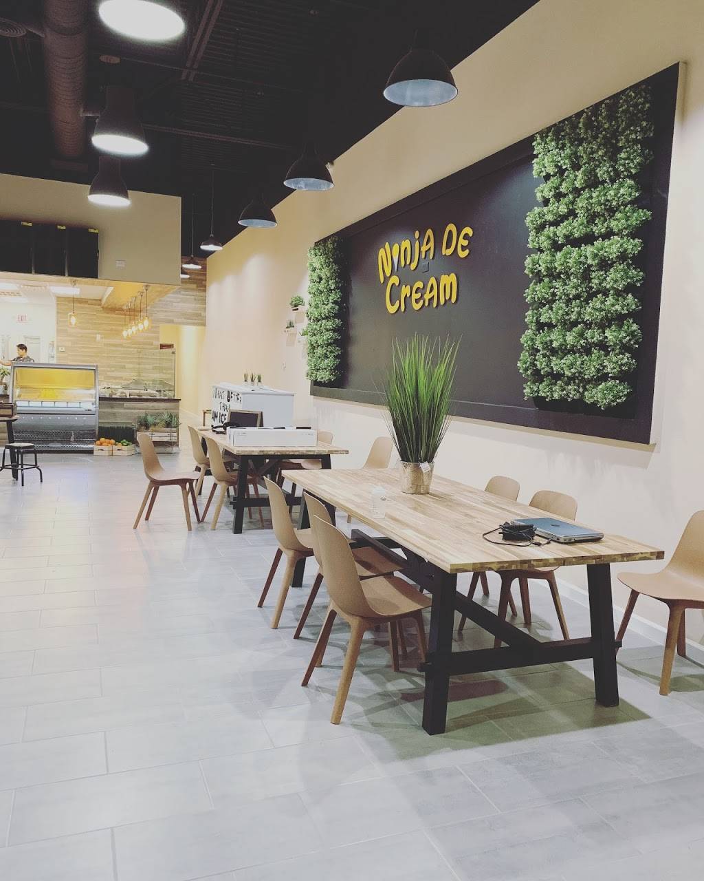 Ninja De Cream | cafe | 9144 Prestmont Pl #230, Frisco, TX 75035, USA | 9722929500 OR +1 972-292-9500