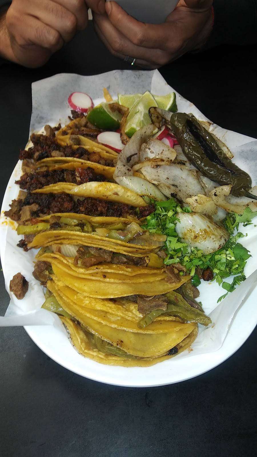 La Salsa Verde Taqueria | restaurant | 2728 Community Dr, Dallas, TX 75220, USA | 2143660999 OR +1 214-366-0999