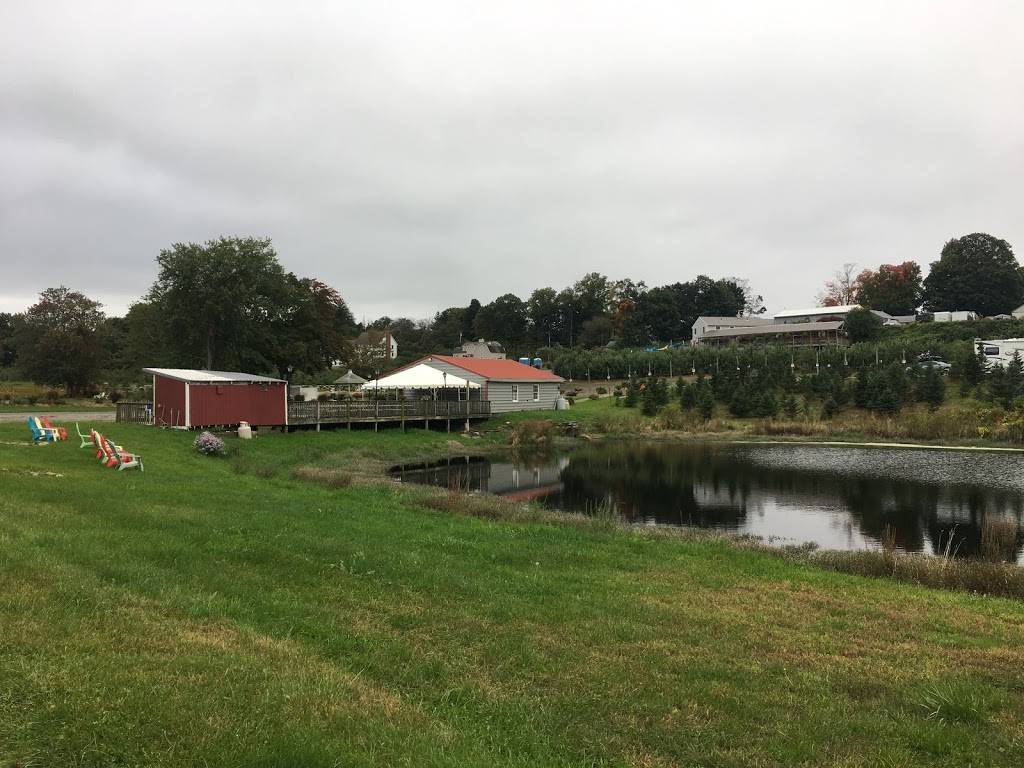 Roses Berry Farm | restaurant | 295 Matson Hill Rd, South Glastonbury, CT 06073, USA | 8606337467 OR +1 860-633-7467